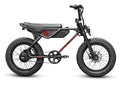 Throne Cycles Spyder | 20/20 Wheels | 500W E-Bike