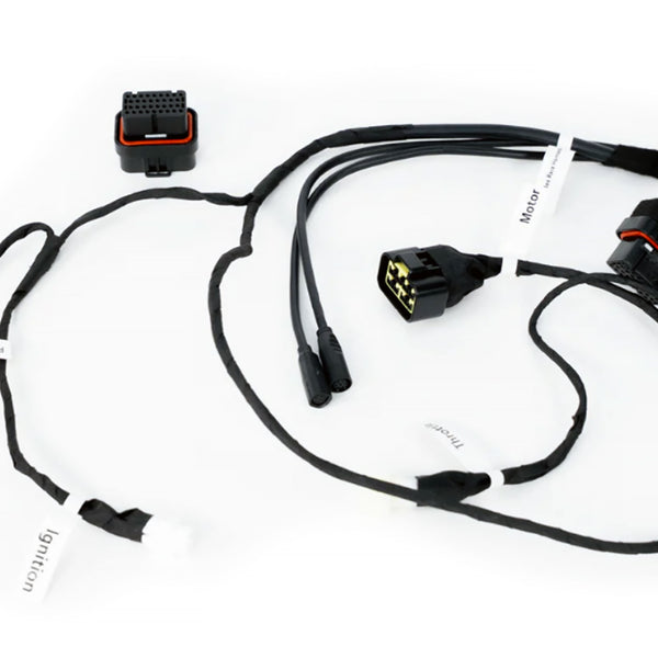 EBMXX9000V3SurronLightBeeRaceH