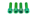 Titanium Surron 20 mm Caliper Bolt Kit for E-Motos
