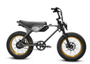 Throne Cycles Spyder XL | 20/20 Wheels | 750W E-Bike