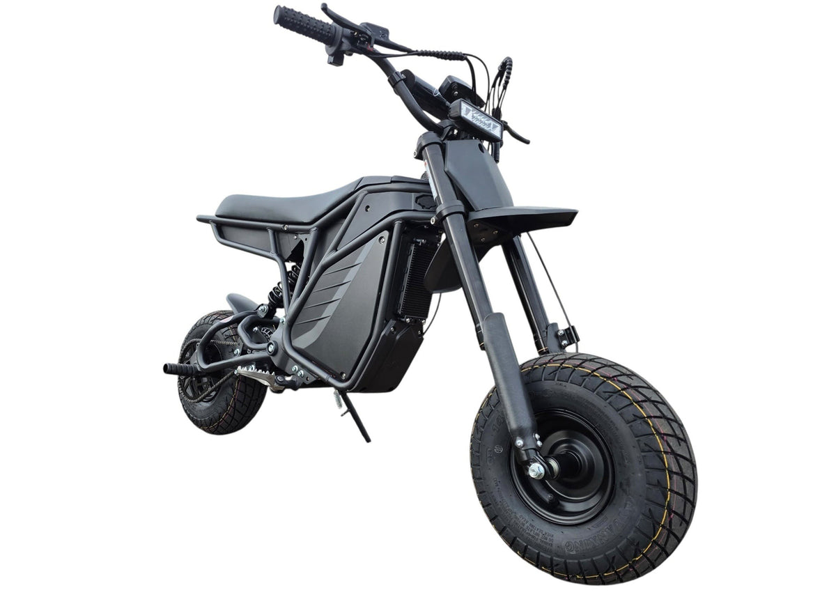 Electro & Co Rizzler Bike | 12/10 Wheels | 60V 5KW E-Mini