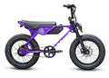 Throne Cycles Spyder XL | 20/20 Wheels | 750W E-Bike
