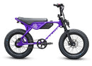 Throne Cycles Spyder XL | 20/20 Wheels | 750W E-Bike