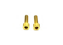 Titanium Surron Motor Cover Bolt Set for E-Motos