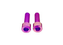 Titanium Surron Motor Cover Bolt Set for E-Motos