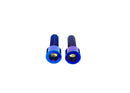 Titanium Surron Motor Cover Bolt Set for E-Motos