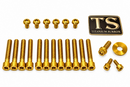 Titanium Surron Sirris F43 Fork Bolt Kit for E-Motos