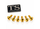 Titanium Surron Front Rotor Bolts for E-Motos