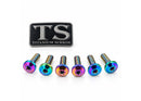Titanium Surron Front Rotor Bolts for E-Motos