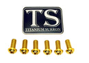 Titanium Surron Rear Rotor Bolt Set for E-Motos