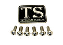 Titanium Surron Rear Rotor Bolt Set for E-Motos