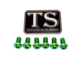 Titanium Surron Controller Mount Bolts for E-Motos