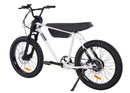 Zooz Ultra Flex G2 Low Bar | 24" x 3.2" Wheels | 750W E-Bike