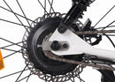 Zooz Ultra Flex G2 Low Bar | 24" x 3.2" Wheels | 750W E-Bike