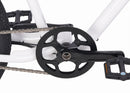 Zooz Ultra Flex G2 Low Bar | 24" x 3.2" Wheels | 750W E-Bike