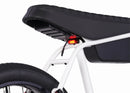 Zooz Ultra Flex G2 Low Bar | 24" x 3.2" Wheels | 750W E-Bike