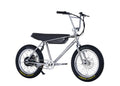 Zooz Ultra Ripster Gen 2 | 20" x 2.6" Wheels | 750W E-Bike