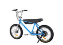 Zooz Ultra Ripster Gen 2 | 20" x 2.6" Wheels | 750W E-Bike