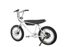 Zooz Ultra Ripster Gen 2 | 20" x 2.6" Wheels | 750W E-Bike