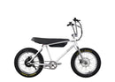 Zooz Ultra Ripster Gen 2 | 20" x 2.6" Wheels | 750W E-Bike