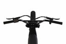 Zooz Zooper | 20" x 4" Wheels | 750W E-Bike