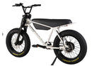 Zooz Zooper | 20" x 4" Wheels | 750W E-Bike