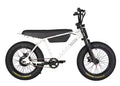 Zooz Zooper | 20" x 4" Wheels | 750W E-Bike