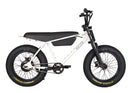Zooz Zooper | 20" x 4" Wheels | 750W E-Bike