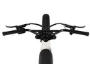Zooz Zooper | 20" x 4" Wheels | 750W E-Bike