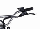 Zooz Zooper | 20" x 4" Wheels | 750W E-Bike