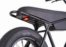 Zooz Zooper | 20" x 4" Wheels | 750W E-Bike