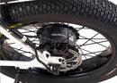 Zooz Zooper | 20" x 4" Wheels | 750W E-Bike