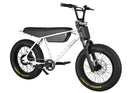 Zooz Zooper | 20" x 4" Wheels | 750W E-Bike