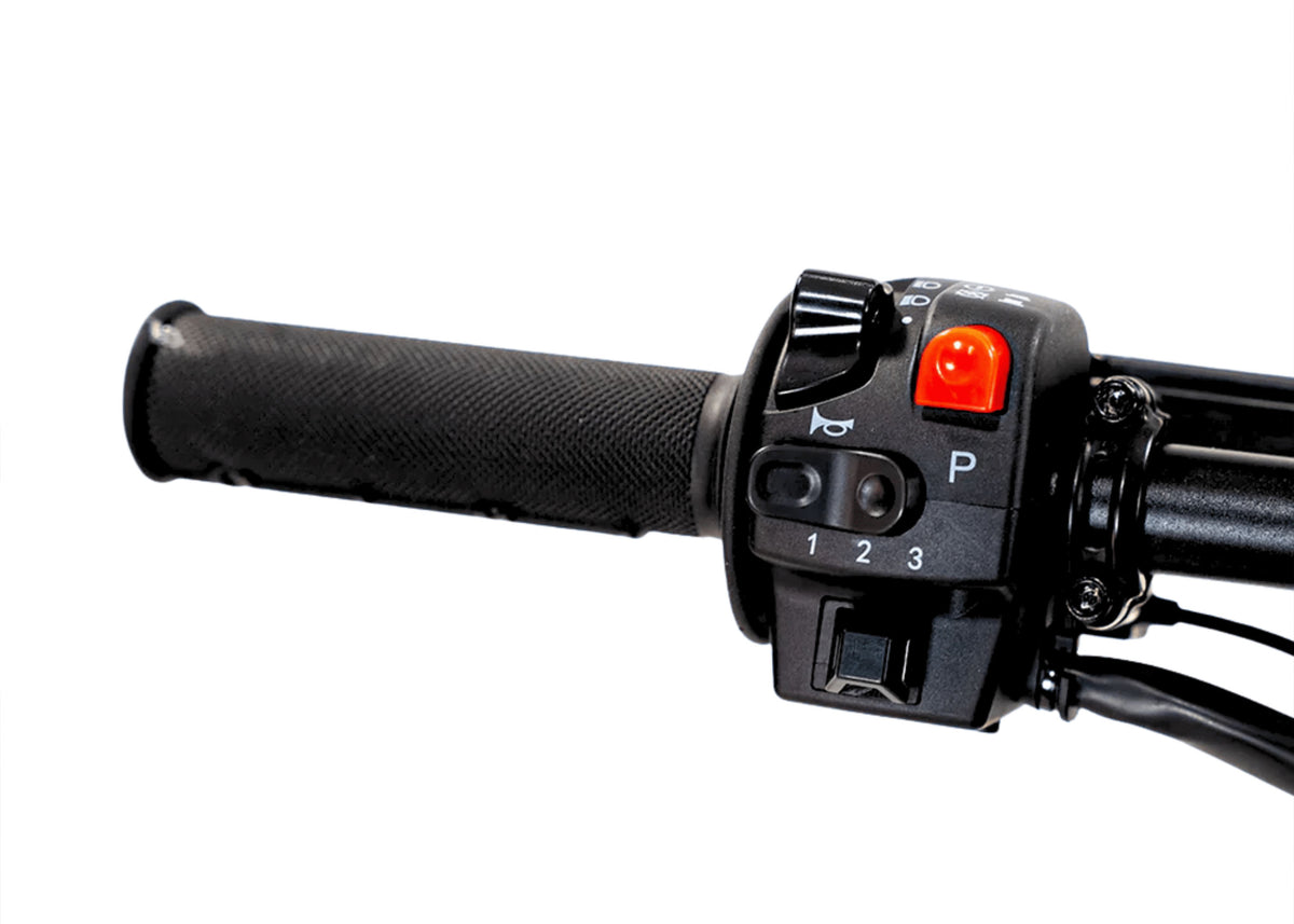 Arctic Leopard XF Pro | 17/14 Wheels | 72V 12KW E-Moto