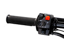 Arctic Leopard XF Pro | 17/14 Wheels | 72V 12KW E-Moto