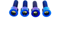 Titanium Surron 20 mm Caliper Bolt Kit for E-Motos