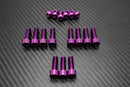 Titanium Surron KKE OEM Fork Bolt Kit - Sur Ron LBX
