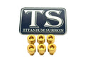 Titanium Surron EBMX X9000 Heat Sink Bolt Kit for E-Motos