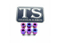 Titanium Surron EBMX X9000 Heat Sink Bolt Kit for E-Motos