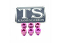 Titanium Surron EBMX X9000 Heat Sink Bolt Kit for E-Motos