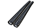 Electro & Co mod fork springs for ETM RTR