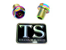 Titanium Surron FastAce Fork Axle Bolt Set for E-Motos