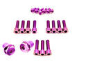 Titanium Surron FastAce Fork Bolt Kit for E-Motos