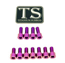 Titanium Surron Fox 40 / Bomber 58 Fork Bolt Kit for E-Motos