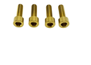 Titanium Surron 20 mm Caliper Bolt Kit for E-Motos