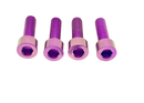 Titanium Surron 20 mm Caliper Bolt Kit for E-Motos