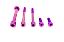 Titanium Surron Motor Gearbox Bolt Kit - Talaria Sting MX3 / MX4