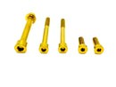 Titanium Surron Motor Gearbox Bolt Kit - Talaria Sting MX3 / MX4