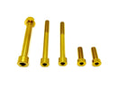 Titanium Surron Motor Gearbox Bolt Kit - Talaria Sting MX3 / MX4