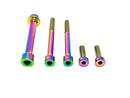 Titanium Surron Motor Gearbox Bolt Kit - Talaria Sting MX3 / MX4